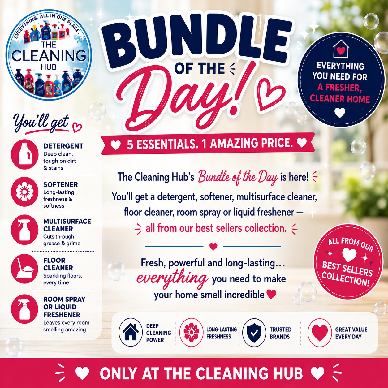 The Cleaning Hub's Choice