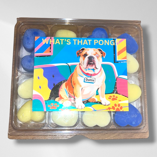 Pet Odour Eliminator - Wax Melt Box